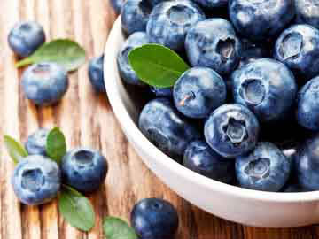 Blueberry Vinaigrette Dressing - Dietitian's Choice Recipe