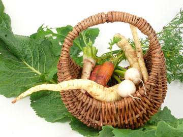 Harvest Root Vegetable Salad